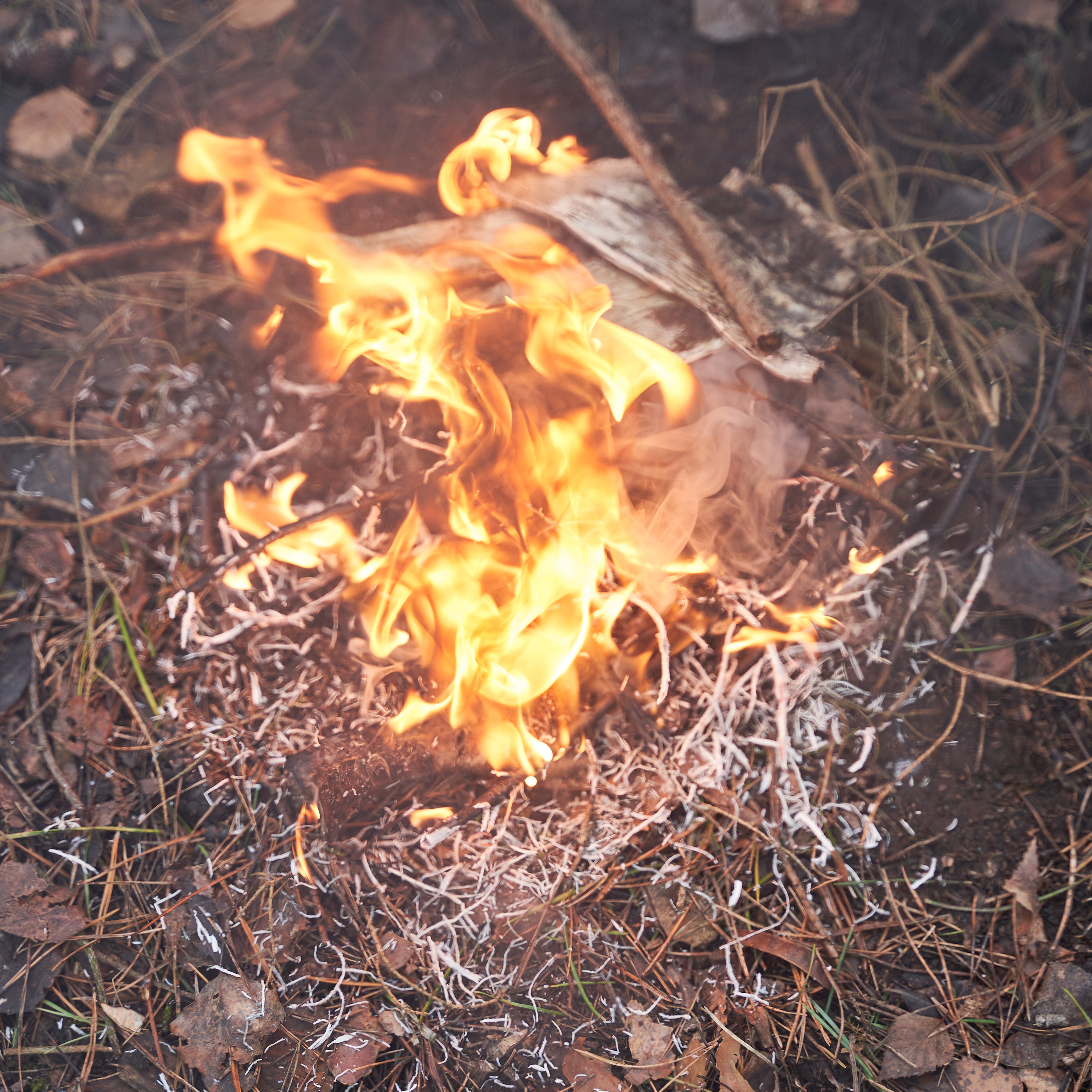 Feuerworkshop 