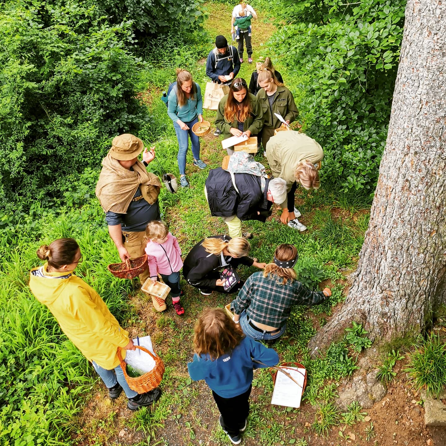 Wildnisschule Odenwald (11)