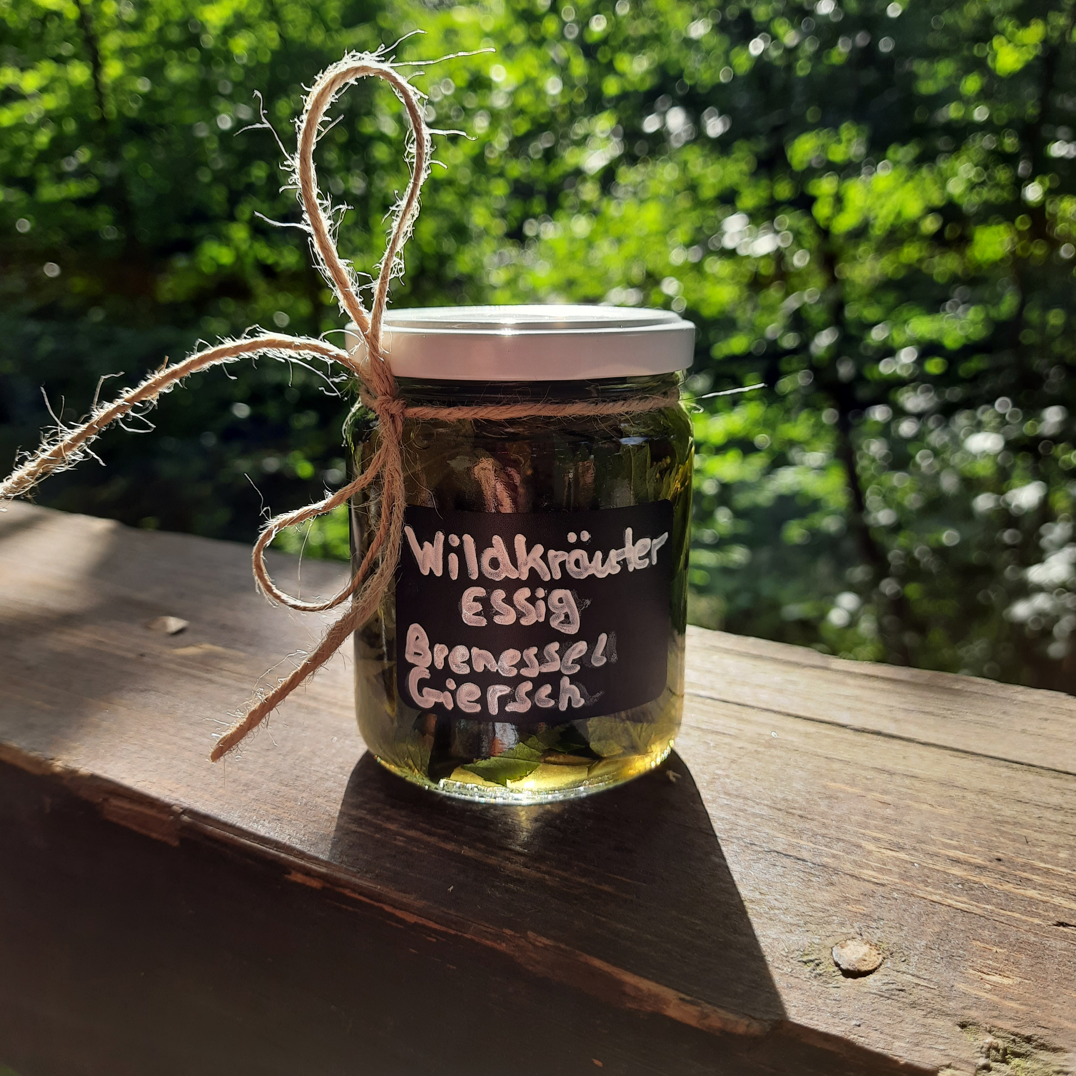 Wildnisschule Odenwald
