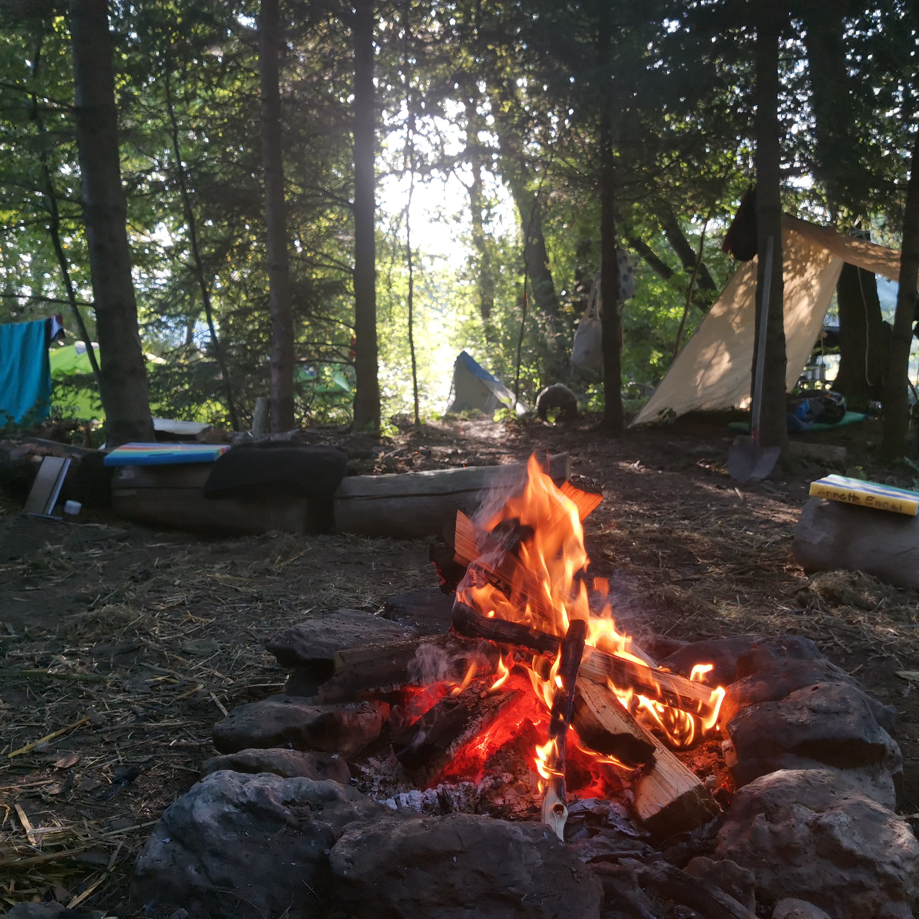 Wildnispädagogik